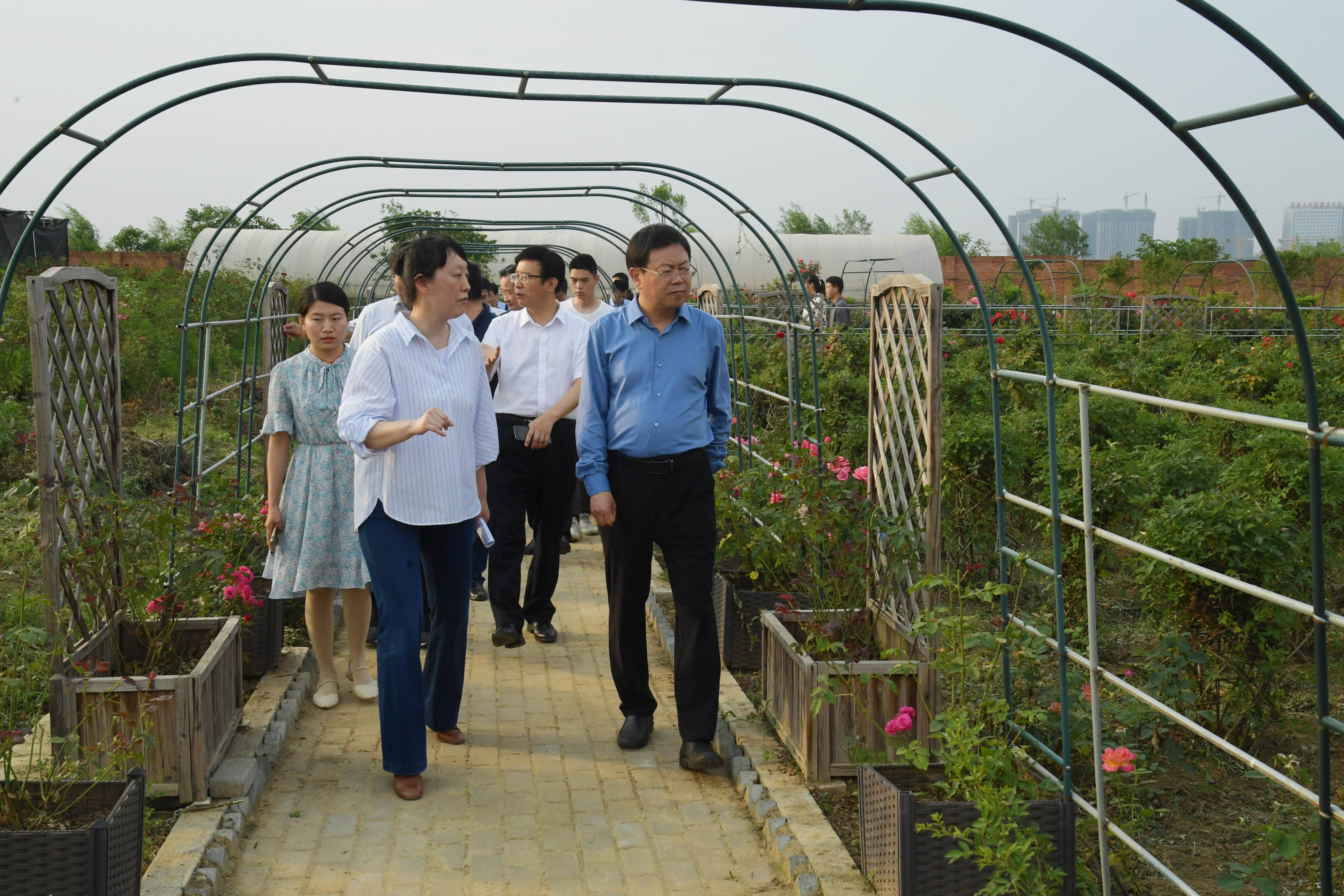 3.副市长李鹏一行在学校月季种质资源基地.jpg