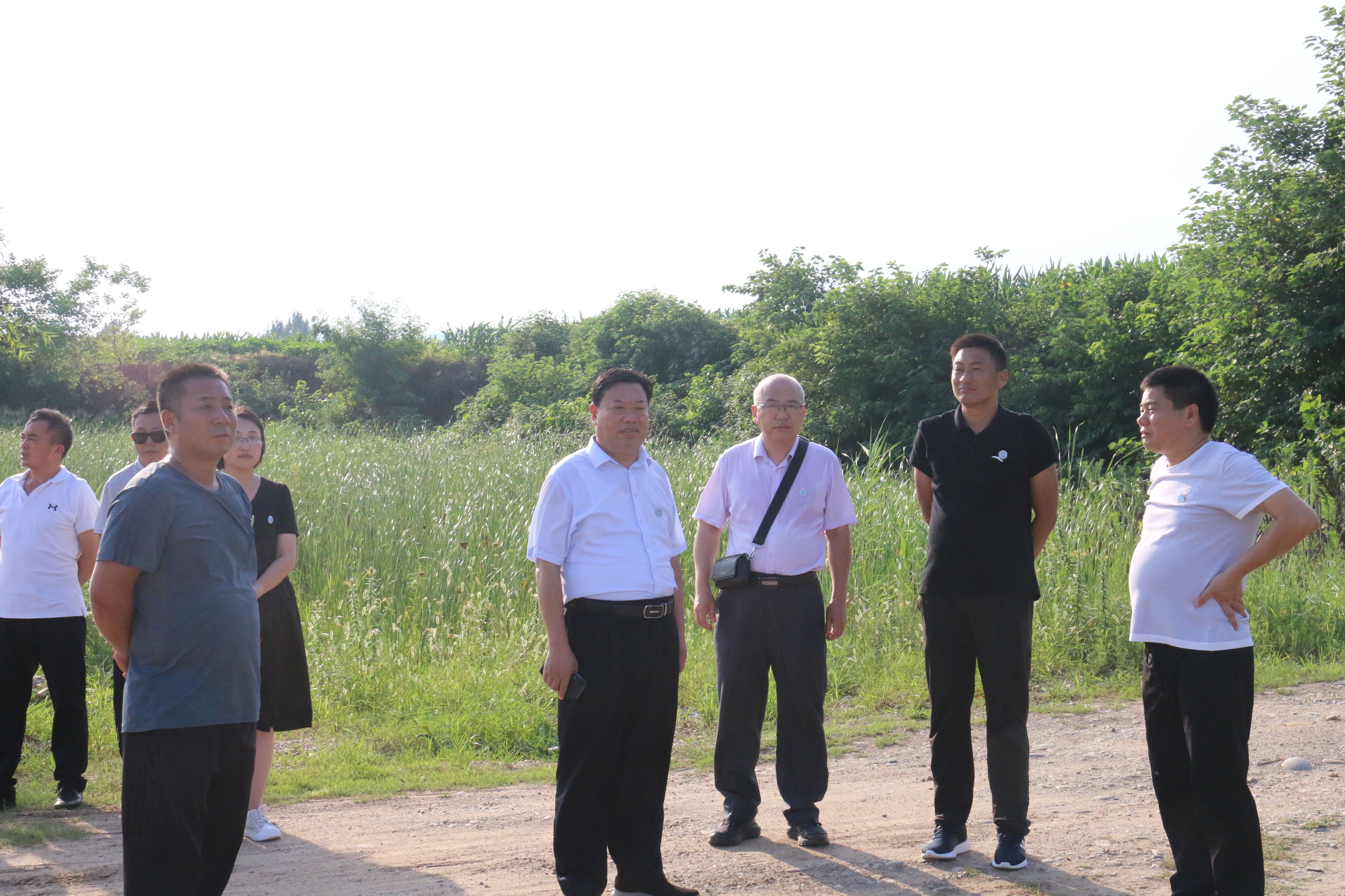 4.新葡的京官网师生前往丹江湿地保护区调研.jpg