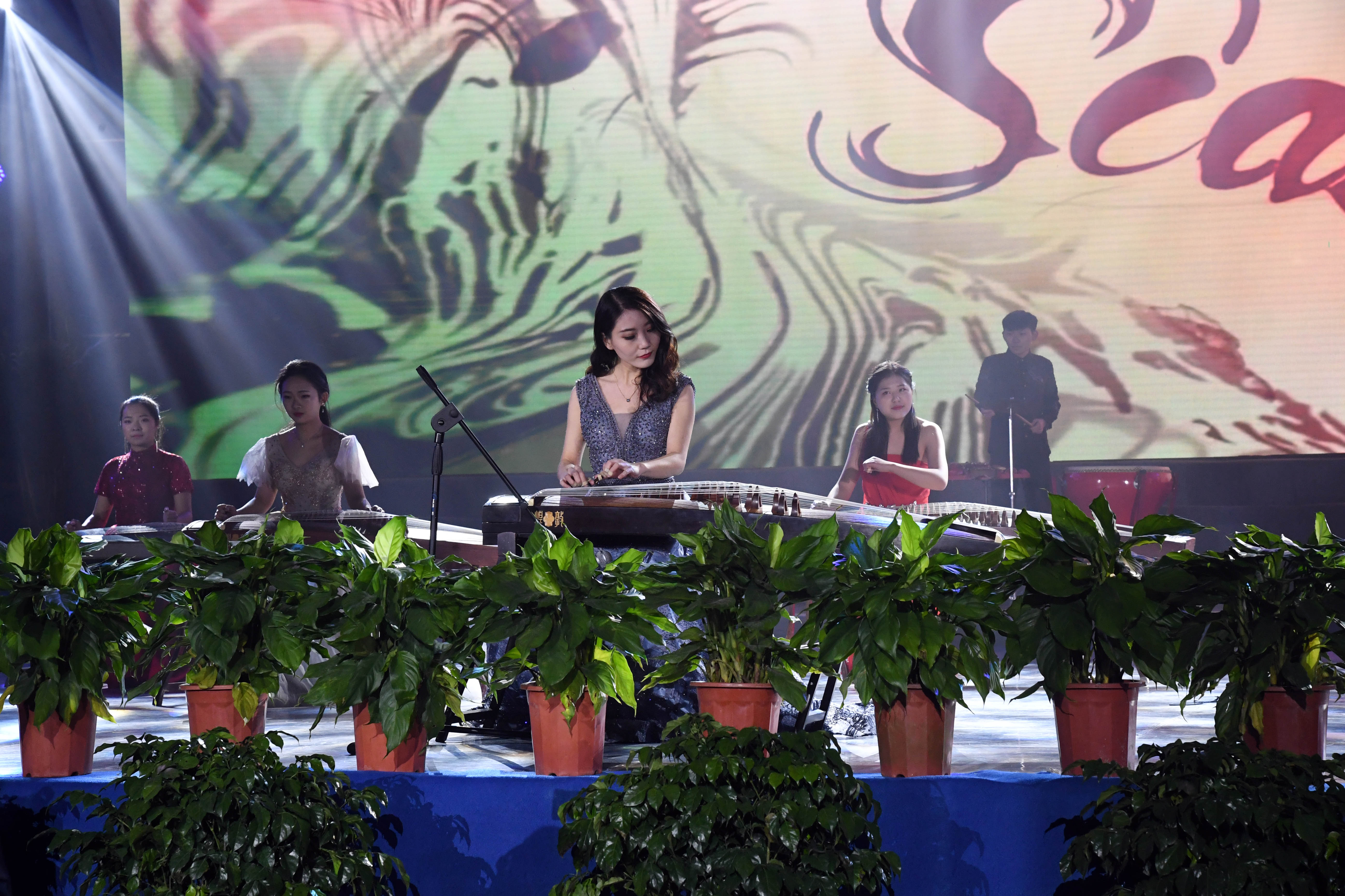 李露、音乐学院民乐团表演的古筝曲《冬虫夏草》.jpg