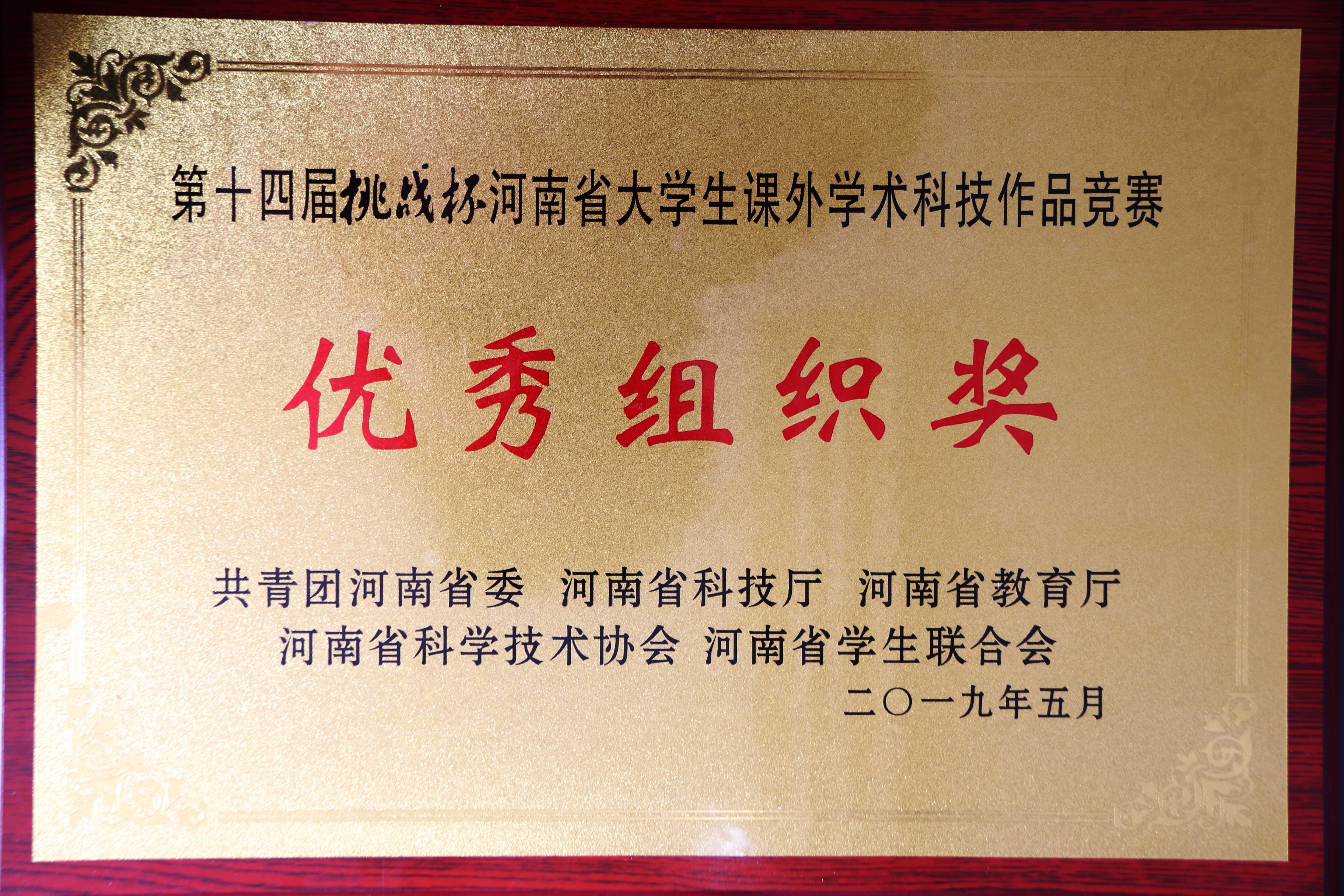挑战杯奖牌.JPG
