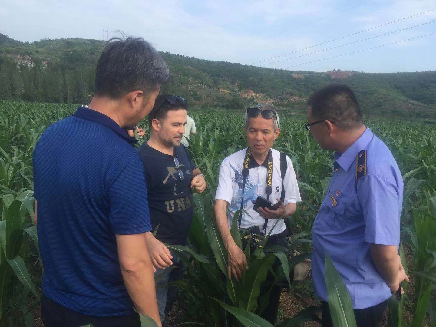 黄思良、Camilo教授在淅川县上集镇玉米地头进行草地贪夜蛾防控指导.jpg