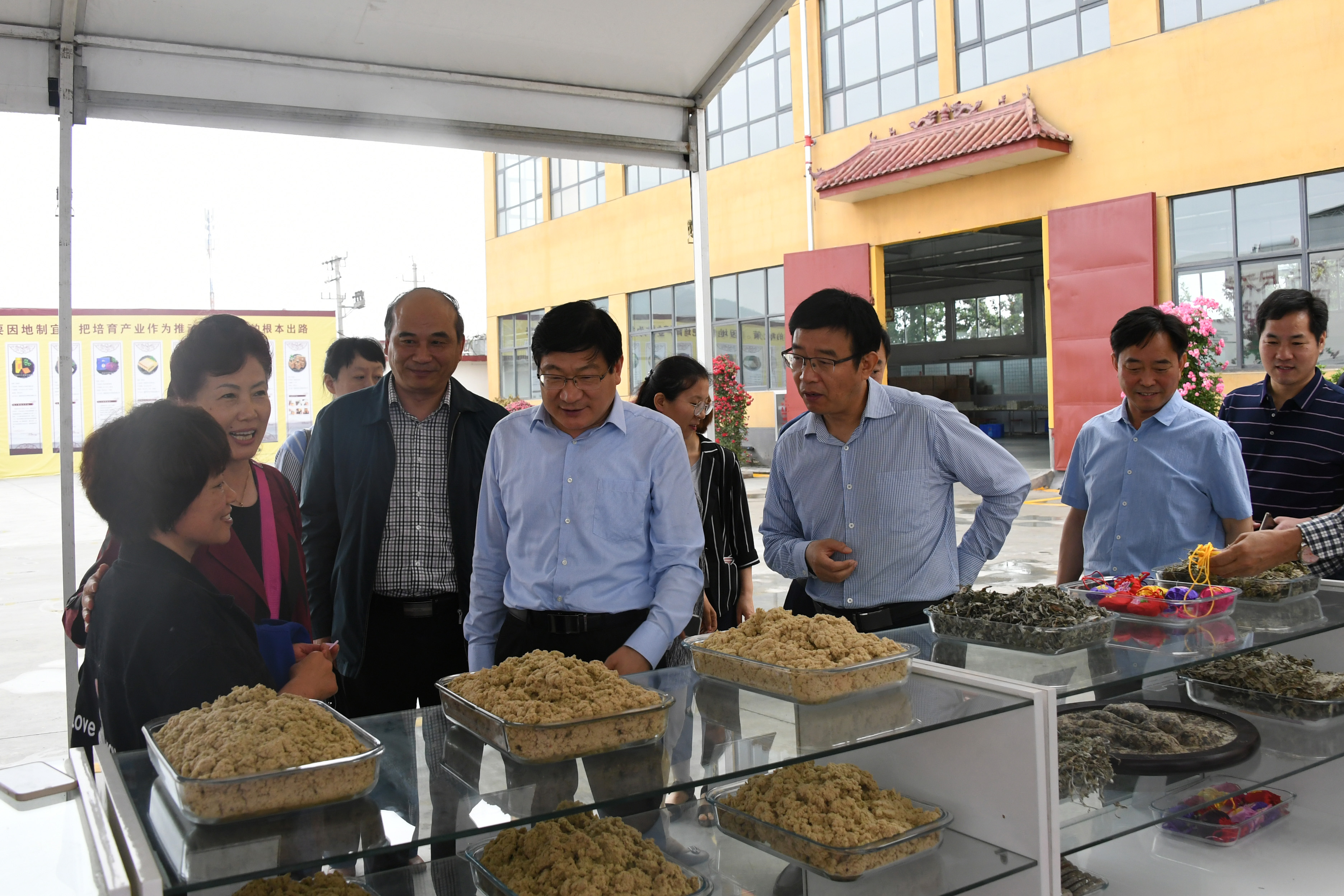 4校领导一行在南阳药益宝艾草制品有限公司 .jpg